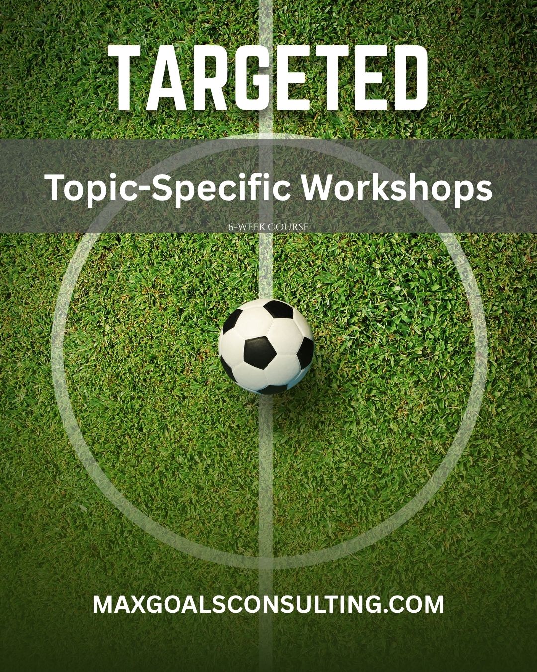 Topic-Specific Workshop Series